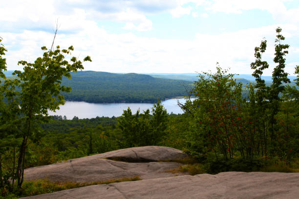 alta vista del lago calvo, adironack región - adirondack mountains fotografías e imágenes de stock