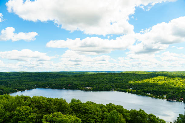 istock Bright natural landscape and lake in the summer 953686428