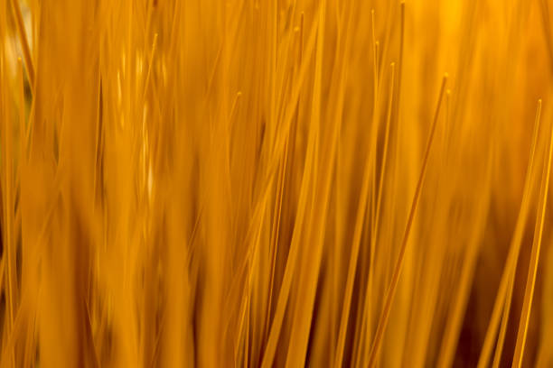istock Close up texture of artificial grass with shallow depth of field , abstract background 953687218