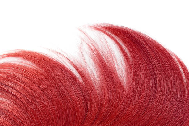 istock Red natural hair on white background 953696056