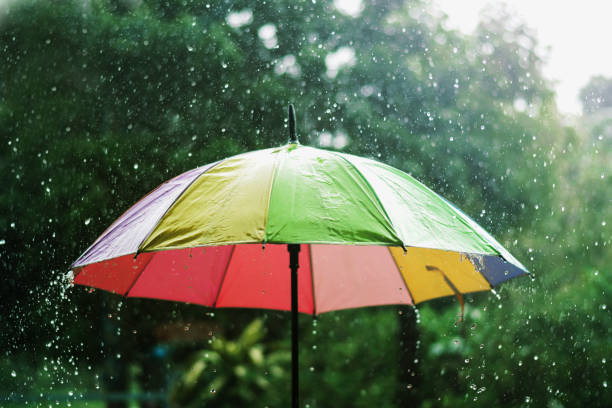 istock rain drop falling onto colorful umbrella  and green background 953702298