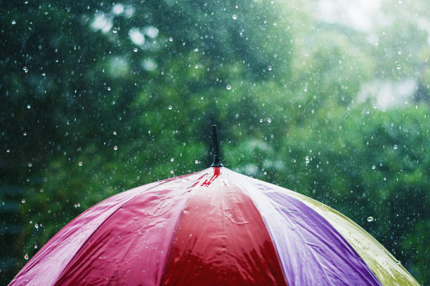 istock rain drop falling onto colorful umbrella  and green background 953702320