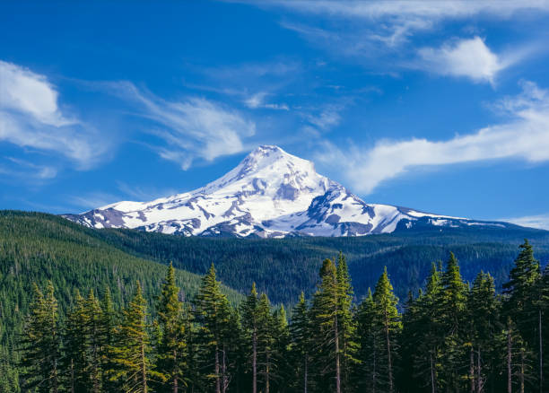 wiosna w majestic mount hood w północnym oregonie - góra hood zdjęcia i obrazy z banku zdjęć