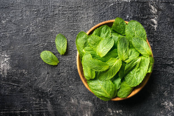 fresh mint leaves. top view - mint imagens e fotografias de stock