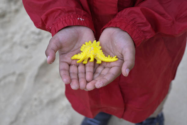 Child holding toy dinosaur in hands. Covered in sand toy dinosaur in hands of kid. Concept of gift, possession, care, ownership or giving or playing in sand.
