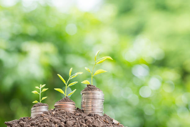 istock Money growing concept 953718386
