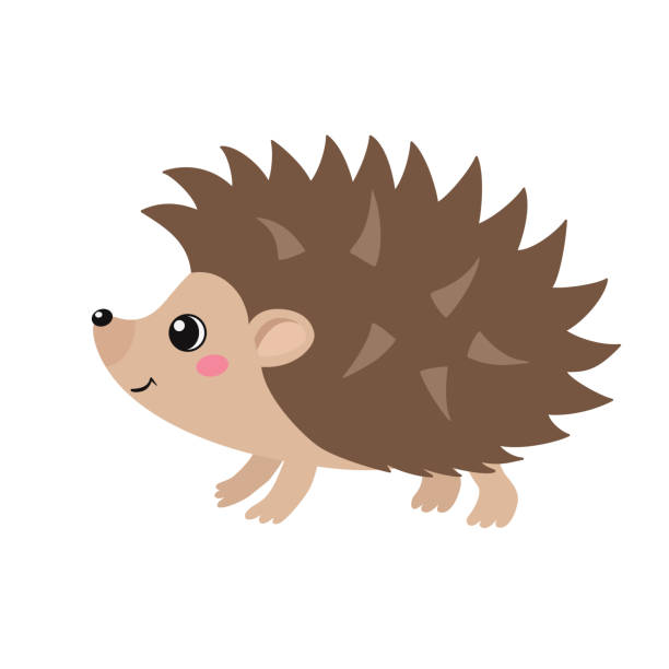 Vector illustration of cute hedgehog isolated on white Vector illustration of cute hedgehog in flat style isolated on white background hedgehog stock illustrations