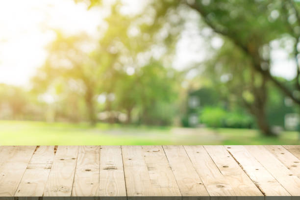 istock Empty wood table and defocused bokeh and blur background of garden trees in sunlight, display montage for product. 953723326