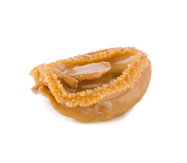 istock Abalones. Chinese cuisine abalone on the background. 953732636