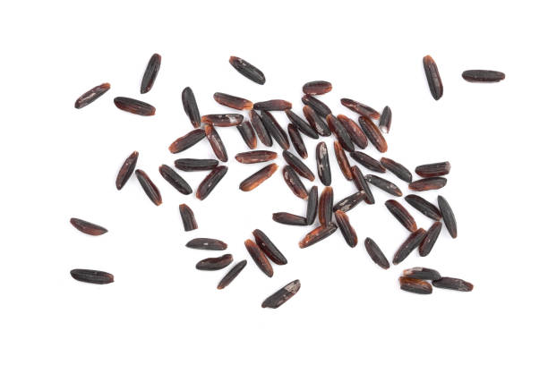 black wild rice isolated on white background close up. top view. flat lay - brown rice rice heap brown imagens e fotografias de stock