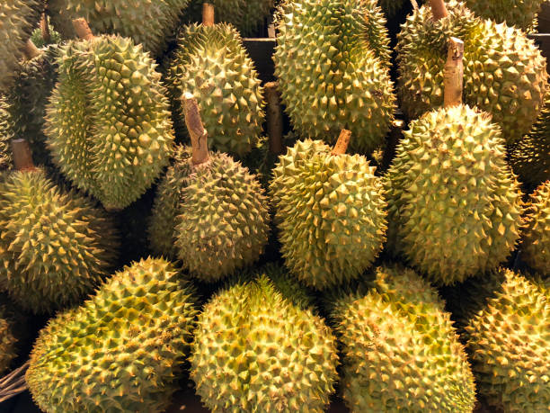 istock Group of durian in the market 953734352