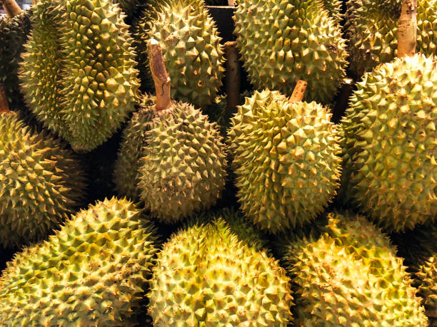 istock Group of durian in the market 953736500
