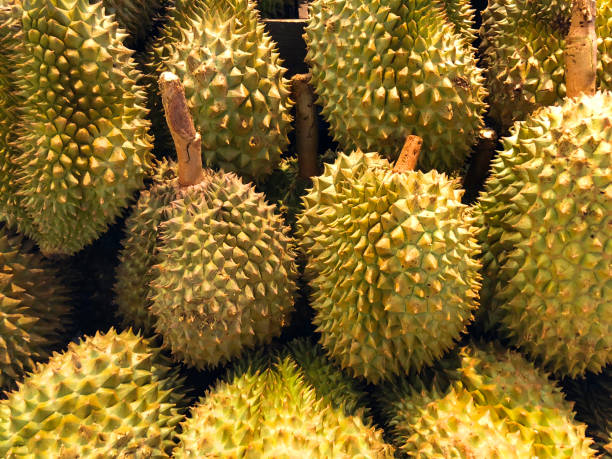 Group of durian in the market