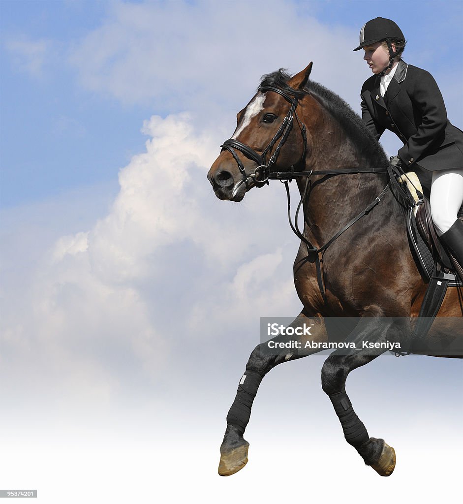 Salto ostacoli equestre - Foto stock royalty-free di Acetosa