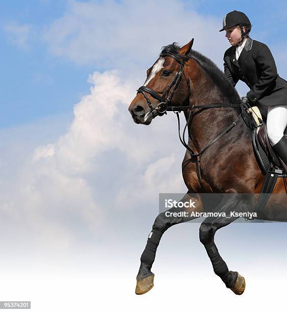 Salto Ostacoli Equestre - Fotografie stock e altre immagini di Acetosa - Acetosa, Adulto, Andare a cavallo