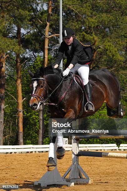 Springreiten Stockfoto und mehr Bilder von Hochspringen - Hochspringen, Pferd, Ausrüstung und Geräte