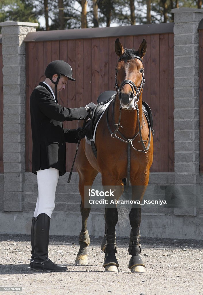 Homem e Cavalo - Royalty-free Cavalo - Família do Cavalo Foto de stock