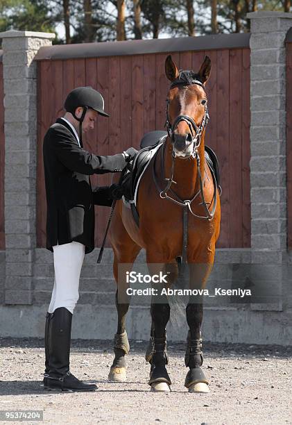 Homem E Cavalo - Fotografias de stock e mais imagens de Cavalo - Família do Cavalo - Cavalo - Família do Cavalo, Adulto, Animal