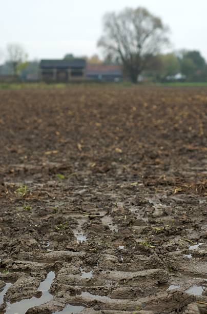 istock Muddy terrain in the Dutch countryside 95374231