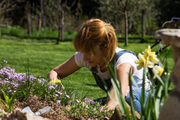 istock Young woman gardening 953742408
