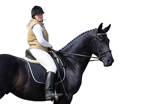 Pretty young woman in show jumping outfit watching whatever is happening in front of her horse.