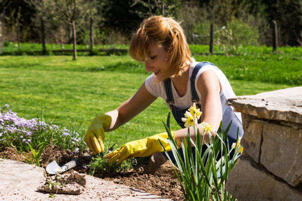 istock Young woman gardening 953742816