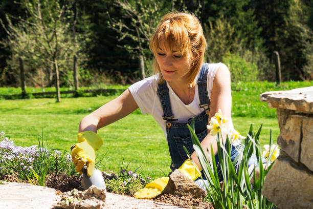 istock Young woman gardening 953742910