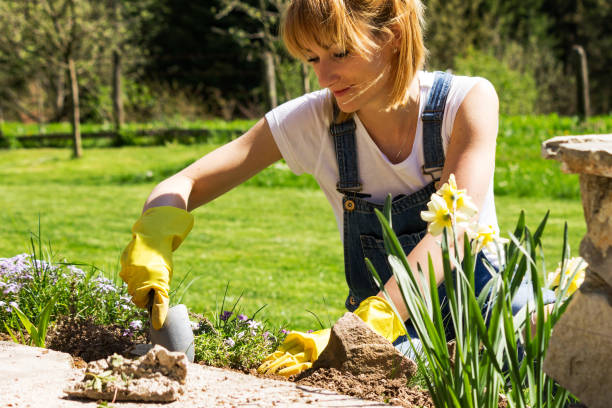 istock Young woman gardening 953742952