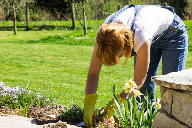 istock Young woman gardening 953743072