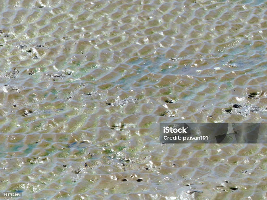 Puddle Texture Tile Puddle And Mud Texture Abstract Background Stock Photo - Download Image ...
