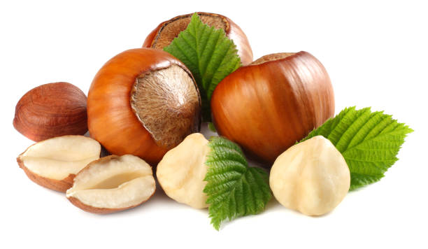 istock hazelnuts with leaves isolated on white background. macro 953754508