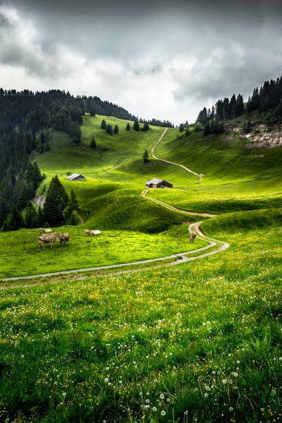 Panorama view in the alps with mountain hut and gravelled road in Salzburgerland, Austria