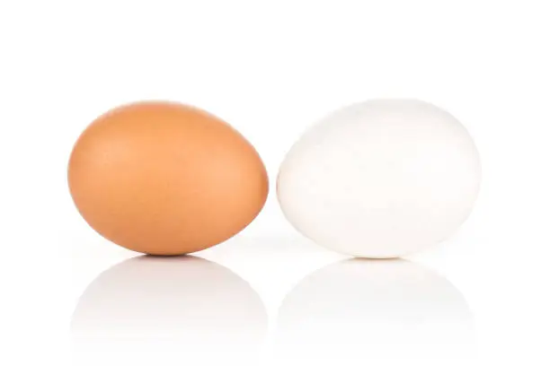 Photo of Fresh raw white eggs isolated on white