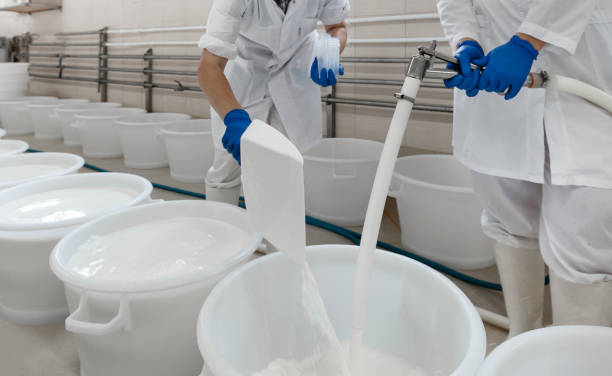 istock Cheese Maker Plant Worker At A Plastic Tank Full With Fermenting Milk. Traditional Cheese Making Concept 953762982