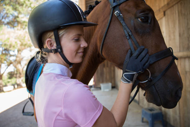 istock Rider and Horse Time Together 953767534