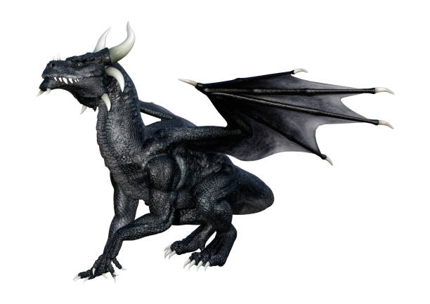 istock 3D illustration fantasy black dragon on white 953771946