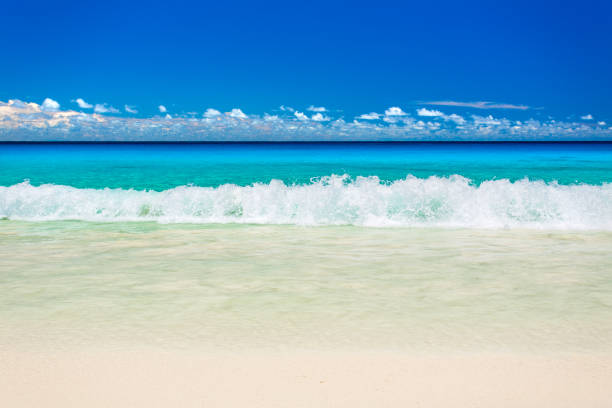istock tropical sea waves sand beach 953774392