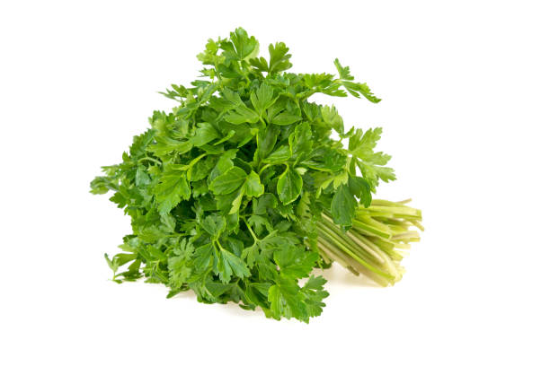 istock bunch of green fresh parsley on white background 953779790