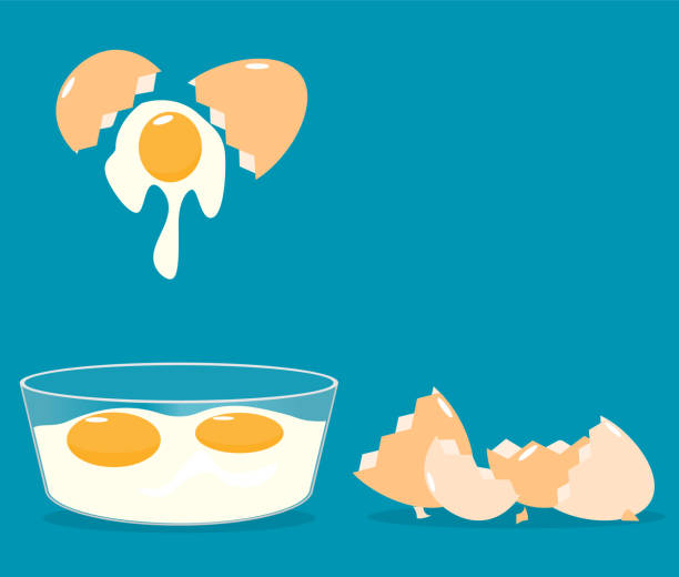 illustrazioni stock, clip art, cartoni animati e icone di tendenza di rompere le uova gusci d'uovo incrinato ciotole di vetro uovo vettore piatto - eggs animal egg cracked egg yolk