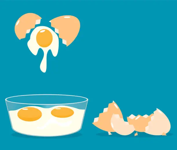 Vector illustration of break eggs eggshells cracked egg glass bowls flat vector