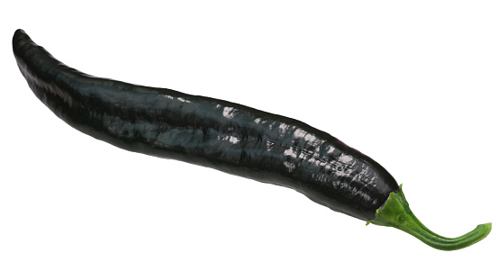 Pasilla Bajio or Chilaca chili pepper (Capsicum annuum), whole green pod