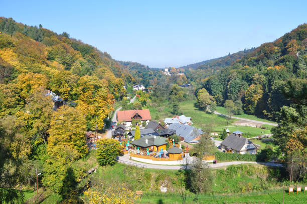 istock Mountain landscape with autumnal forest on a sunny day. 953793734