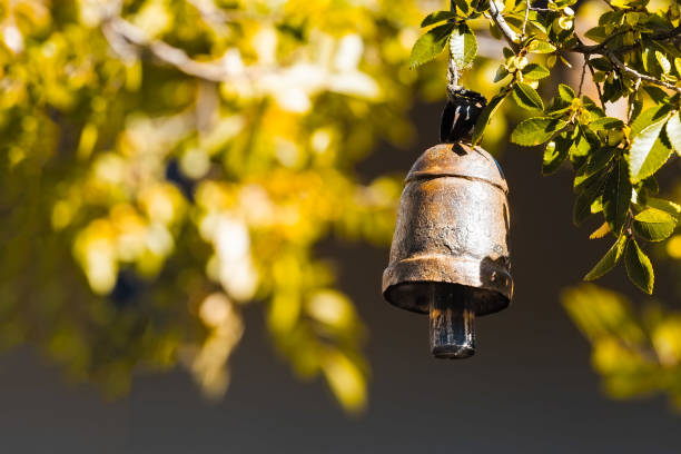 istock Bronze temple ritual bell - spiritual concept with copy space 953795010