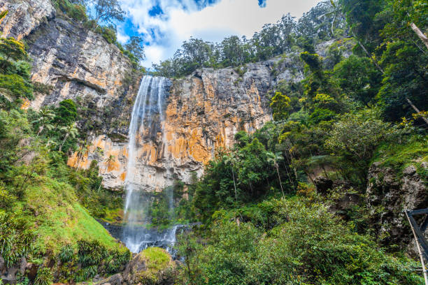 istock Rainbow Falls in a rainforest in Springbrook National Park, QLD, Australia 953796364