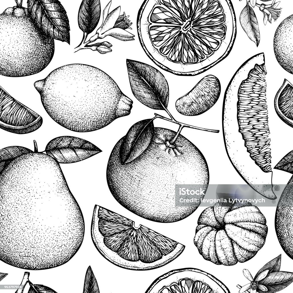 Seamless citrus fruits pattern Vector seamless pattern with ink hand drawn citrus fruit, flowers, slice and leaves sketch. Vintage citrus background Orange - Fruit stock vector