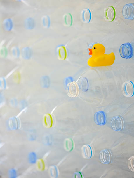 istock Many plastic purified drinking water bottles stacked up ready for recycling with a yellow rubber duck sitting on one bottle. 953799202