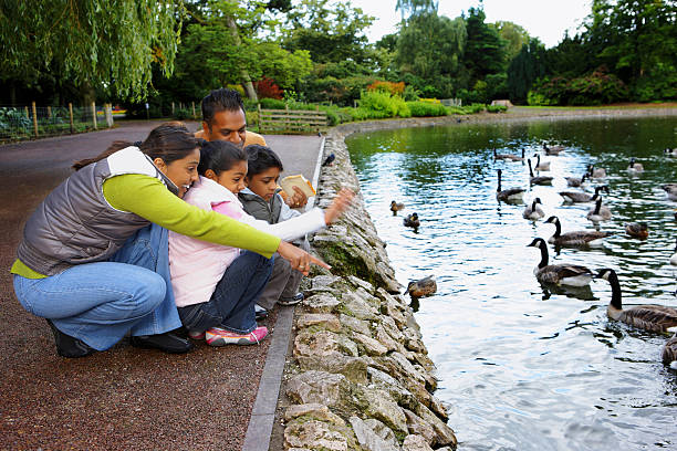 istock young happy Indian Family throwing bread to ducks on pond 95379976