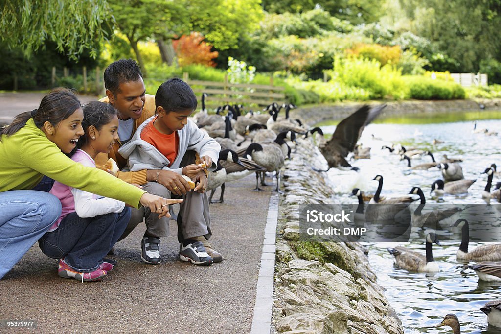 Jeune famille indienne en plein air de nourrir les canards sur le parc - Photo de 6-7 ans libre de droits
