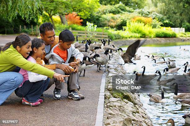 Photo libre de droit de Jeune Famille Indienne En Plein Air De Nourrir Les Canards Sur Le Parc banque d'images et plus d'images libres de droit de 6-7 ans