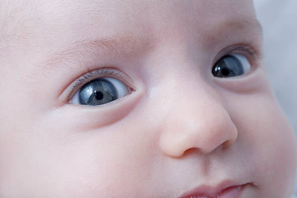 istock Close-up of newborn 95380084